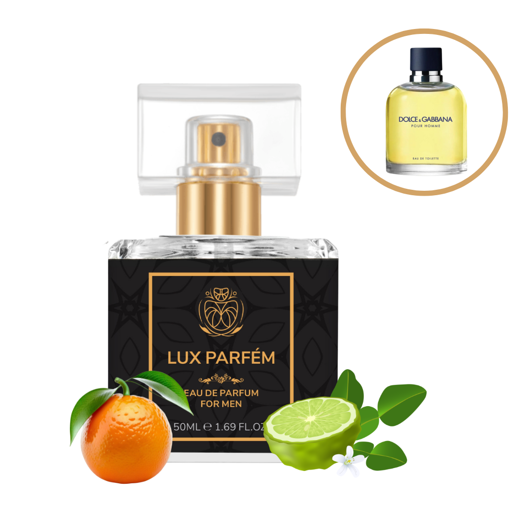 220 Lux Parfém  DOLCE & GABBANA - DOLCE & GABBANA POUR HOMME (2012)